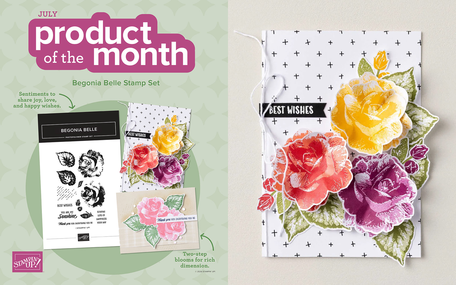 Stampin' Up! July Product of the Month Special.